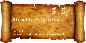 Birnstingl Szelina névjegykártya